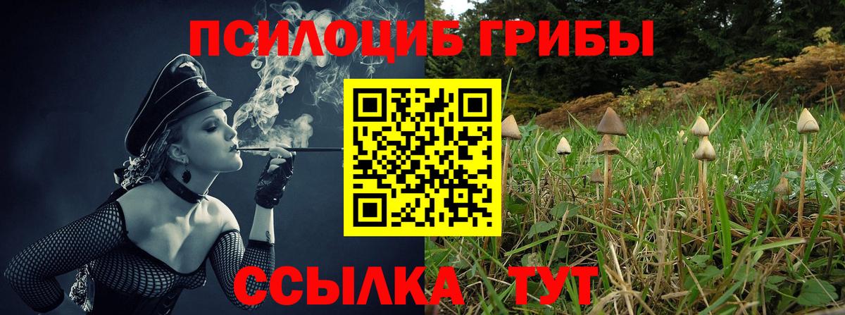 Псилоцибиновые грибы MAGIC MUSHROOMS  Галлюциногенные грибы мицелий  Вход с VPN  Лыткарино 